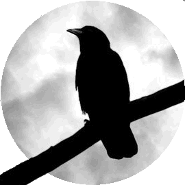 Grimalkin's Grimoire